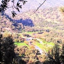 Naar de ruime achtertuin...