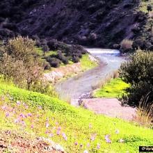 De eerste waterval in de lente...
