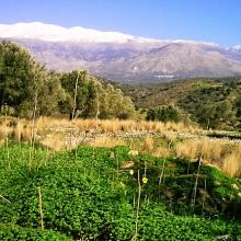 Onze tweede naaste buur...