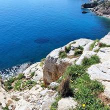 Palekastro bij Heraklion 4