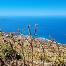 Akoumia windmolens 2