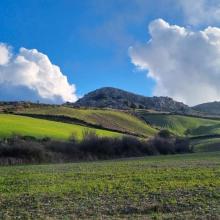Gious Kambos bij Gerakari