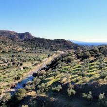 Achtertuin Mesa Riza 1