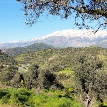 Achtertuin Mesa Riza 3