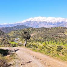 Achtertuin Mesa Riza 4