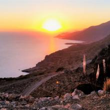 Puur natuur 4 (Kofinas)