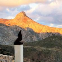 Puur natuur 5 (Kofinas)