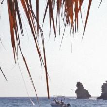 Straffe sprong (Triopetra)