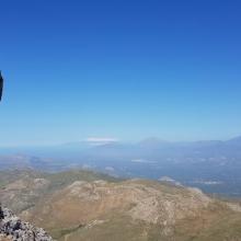 Lente 49 (Kofinas 2)