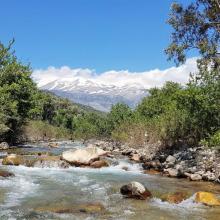 Lente 52 (Platis én Ida))