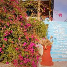 De vertaler (in Agia Galini)